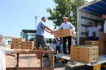 Samsun’da 687 bin kışlık sebze fidesi dağıtıldı
