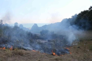 Samsun’da örtü yangını: 3 dönüm alan zarar gördü
