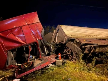 Samsun’da tomruk yüklü tır devrildi: 1 yaralı
