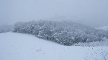 Samsun’un yüksek kesimlerinde kar kalınlığı 44 cm
