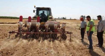 Şanlıurfa Büyükşehir Belediyesi mısır ekimine başladı