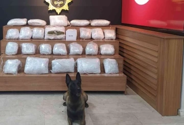 Şanlıurfa’da 21 kilo 550 gram skunk ele geçirildi
