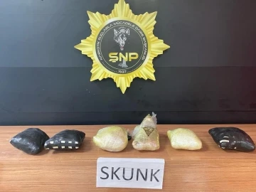 Şanlıurfa’da 3 kilo 900 gram skunk ele geçirildi: 1 gözaltı
