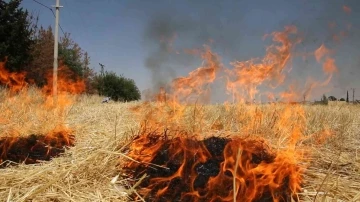 Şanlıurfa’da çiftçilere anız uyarısı
