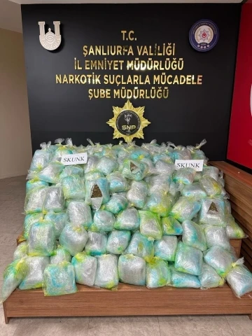 Şanlıurfa’da uyuşturucu operasyonu: 167 kilogram skunk ele geçirildi

