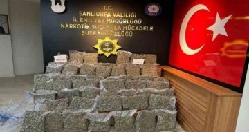 Şanlıurfa’da 50 kilogram skunk ele geçirildi