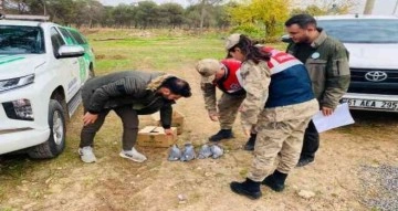 Şanlıurfa’da kaçak avlanan yarım ton balık ele geçirildi