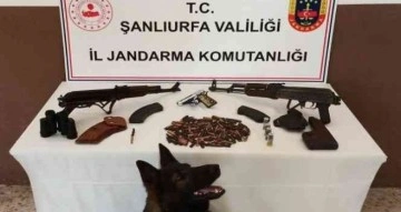 Şanlıurfa’da silah kaçakçılığı operasyonu: 2 gözaltı