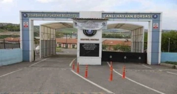 Şap nedeniyle geçici olarak kapanan Diyarbakır Canlı Hayvan Borsası yeniden açılıyor