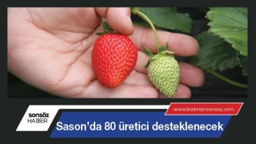 Sason’da 80 üretici desteklenecek