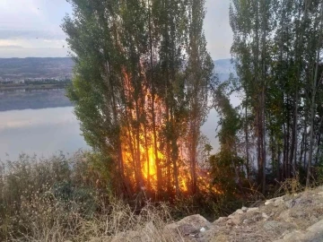 Sazlık alanda çıkan yangın korkuttu
