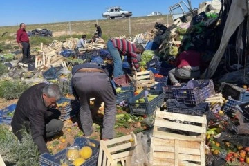 Sebze yüklü kamyon lavanta tarlasına devrildi