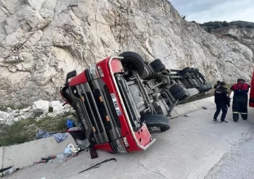 Sebze yüklü tır devrildi