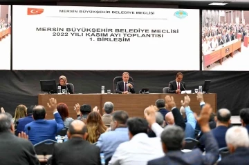 Seçer: &quot;Mersin’de mezarlık konusunda sıkıntı kalmamıştır&quot;
