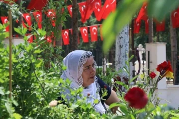 Şehit annesi: &quot;Biz Mehmetçiklerimizin sayesinde ayaktayız, bir gitse de bin geliyor&quot;
