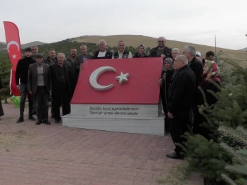 Şehitler Ormanı ağaçları yenilendi
