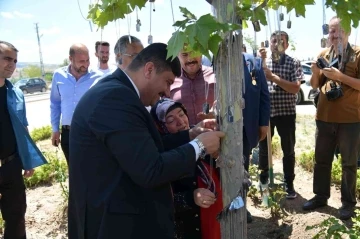 Şehitlerin isimleri çınar ağacında yaşayacak
