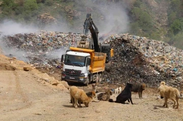 Şemdinli’de vahşi çöp depolama alanı kaldırılıyor
