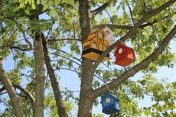 Serdivan’ın parklarını kedi ve kuş evleri süslüyor
