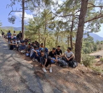 Seydikemer’de ormanlık alanda 89 düzensiz göçmen yakalandı
