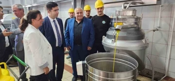 Sezonun ilk zeytinleri işlenmeye başlandı
