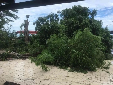 Şiddetli fırtınada işletme zarar gördü
