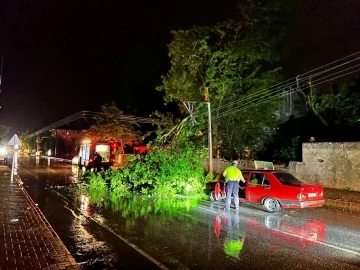 Şiddetli rüzgar ağaçları devirdi, kapanan yollar ekipler sayesinde açıldı
