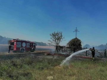 Sigara izmariti anız yangınına neden oldu
