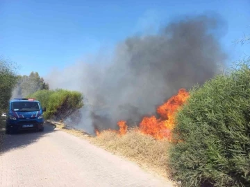 Sigara İzmaritinden Yangın Çıktı
