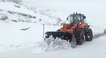 Siirt’te kardan yolda mahsur kalan 25 araç kurtarıldı
