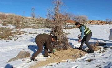 Siirt’te yaban hayvanları unutulmadı, birçok noktaya yem bırakıldı
