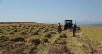 Siirt’te bayramda da hasat sürüyor