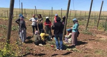 Siirt’te kadınlara kooperatifçilik eğitimi