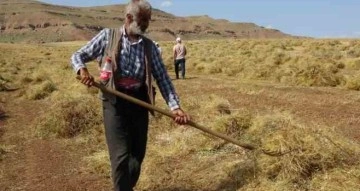 Siirt’te kırmızı mercimekte son yılların en bereketli hasadı yaşandı