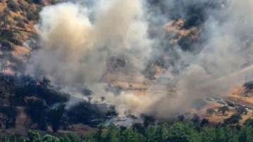 Şili’de orman yangınları artıyor: 7 bin hektardan fazla alan küle döndü
