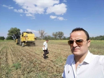 Simav’da yağlık ayçiçeği projesinde hasat dönemi başladı
