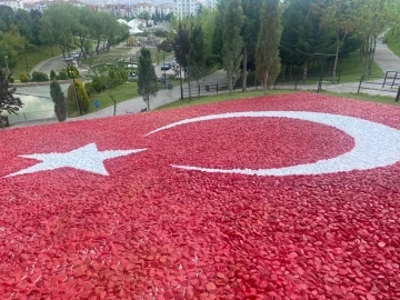 Sincan Belediyesinden kuru peyzaj çalışması
