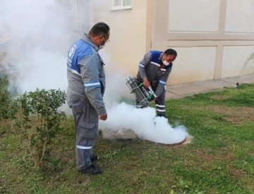 Sineksiz yaz için ilaçlama ordusu iş başında