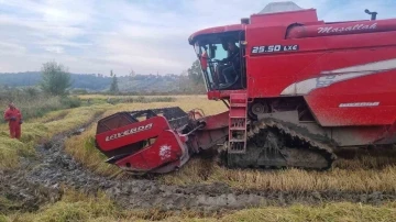 Sinop’ta çeltik hasadı başladı
