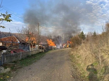 Sinop’ta çıkan yangında 1 ev, 1 ahır ve 1 ambar kül oldu
