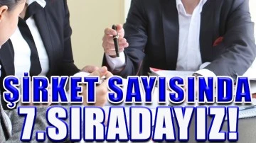 Şirket sayısında 7.sıradayız!