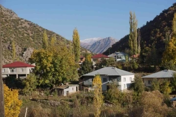 Şırnak’ın bal ormanları farklı renk tonlarıyla göz kamaştırdı
