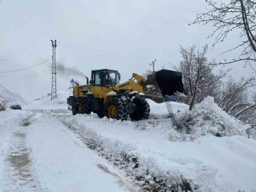 Şırnak’ta kapanan köy yolları tekrar ulaşıma açıldı
