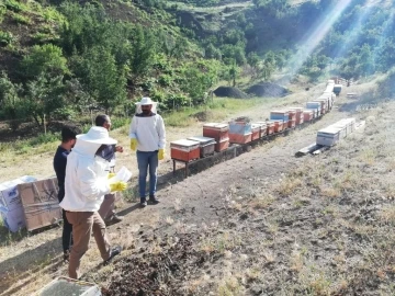 Şırnak’ta uzman eller projesi tamamlandı
