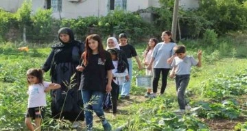 Şırnak’ın sebze ihtiyacını karşılamak için harekete geçildi