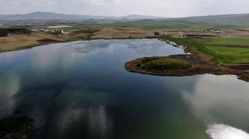 Sivas’ın en büyük ikinci gölünde sevindiren gelişme
