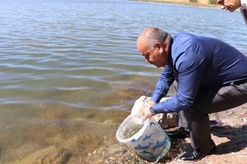 Sivas’ta 1 milyon adet yavru balık göllere bırakıldı
