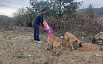 Sokak hayvanlarına destek devam ediyor
