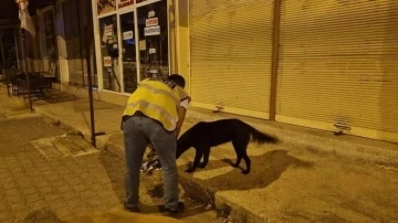 Sokak hayvanlarına polis şefkati
