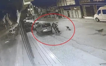 Sokak köpeklerinin saldırı anı kamerada
